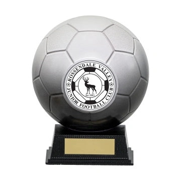Nova Sphere Collection Football Various Colours Free Club Logo and Personalised engraving