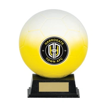 Nova Sphere Collection Football Various Colours Free Club Logo and Personalised engraving