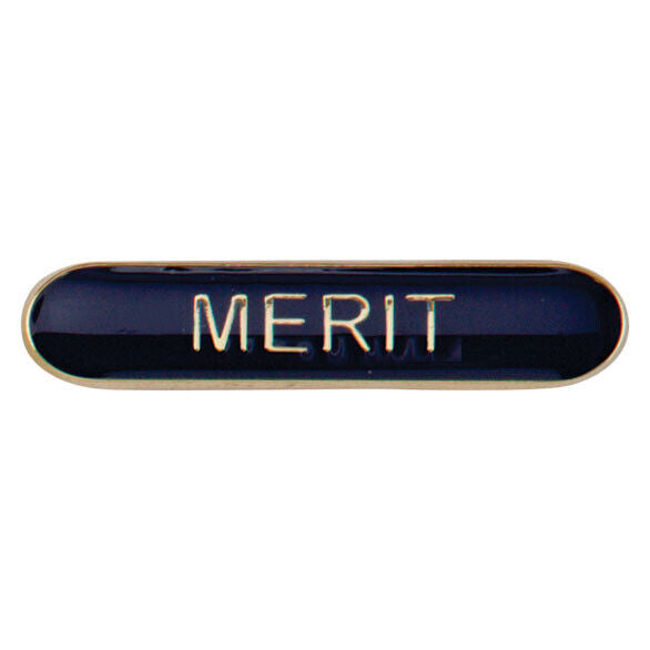 'Merit' rectangular School/Club Pin Fastening Enamel Badge
