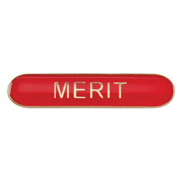 'Merit' rectangular School/Club Pin Fastening Enamel Badge