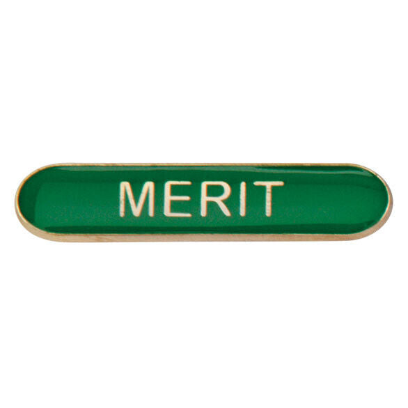 'Merit' rectangular School/Club Pin Fastening Enamel Badge