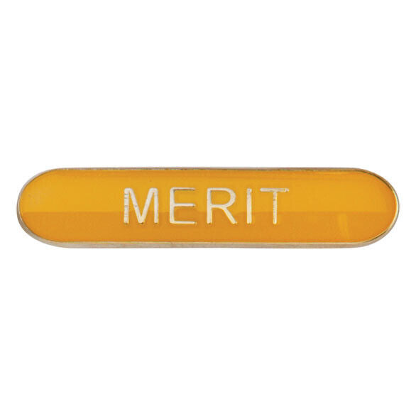 'Merit' rectangular School/Club Pin Fastening Enamel Badge