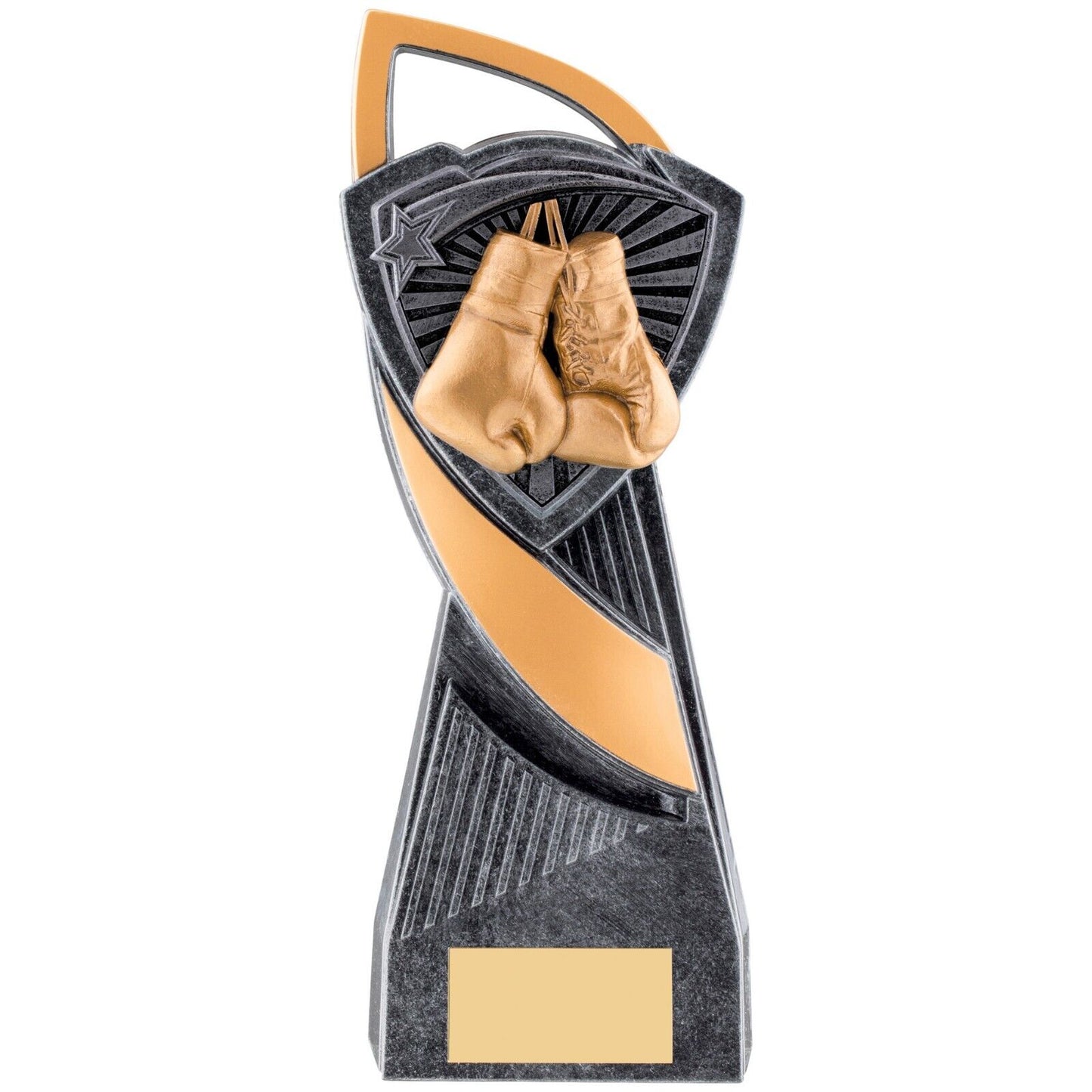 Utopia Boxing Silver Trophy Award Free Engraving