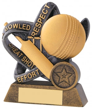 Infinity Cricket Award Free Engraving & Club Logo Gold & Silver