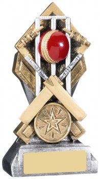 Extreme Cricket Award Free Engraving and Club Logo