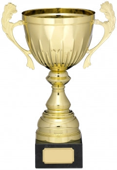 Extreme Gold Presentation Cup 5 Sizes Available Free Engraving