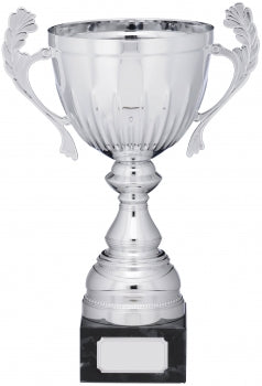 Extreme Silver Presentation Cup 5 Sizes Available Free Engraving