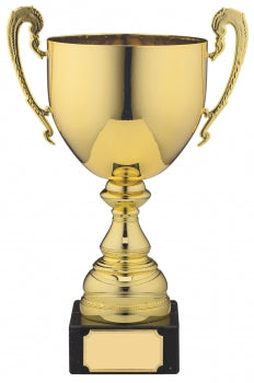 Gold Presentation Cup 4 Sizes Free Engraving