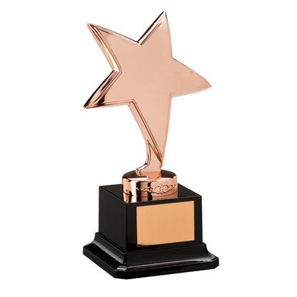 Challenger Bronze Star Series Achievement Award  - Free Engraving