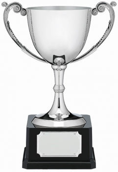 Silver Nickel Plated Cast Cups
