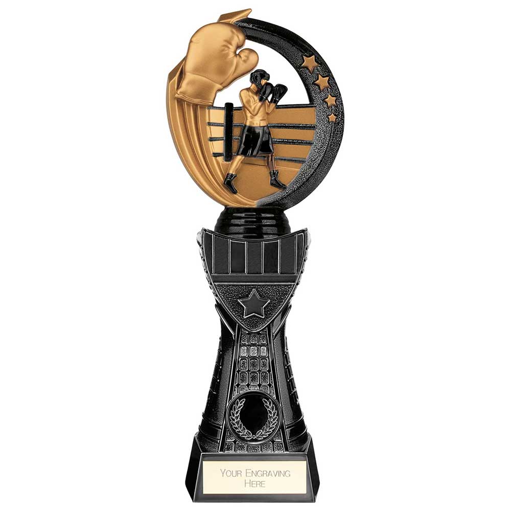 Renegade Heavyweight Boxing Award trophy free engraving