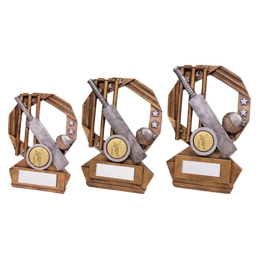 Enigma Cricket Trophy Series Award Free Engraving