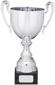 Silver Presentation Cup 4 Sizes Free Engraving
