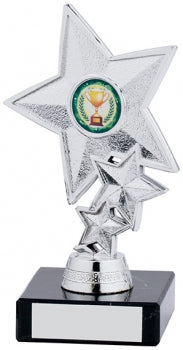 Silver Star Award Trophy Achievement