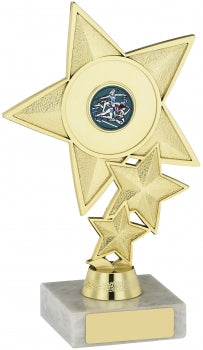 Gold Star Award Trophy Achievement