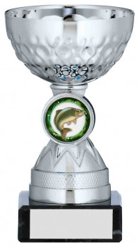 Silver Cup Series 4 sizes Club Logo and Free Engraving