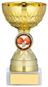 Gold Cup Series 4 sizes Club Logo and Free Engraving