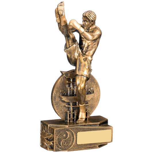 Kickboxing Award Antique Award Trophy Free Engraving